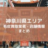 【神奈川】おすすめ毛皮買取業者・店舗まとめ｜毛皮を高く売る秘訣